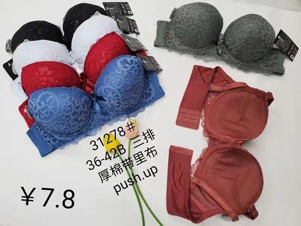 Daily Wear Mesh Pushup Bra